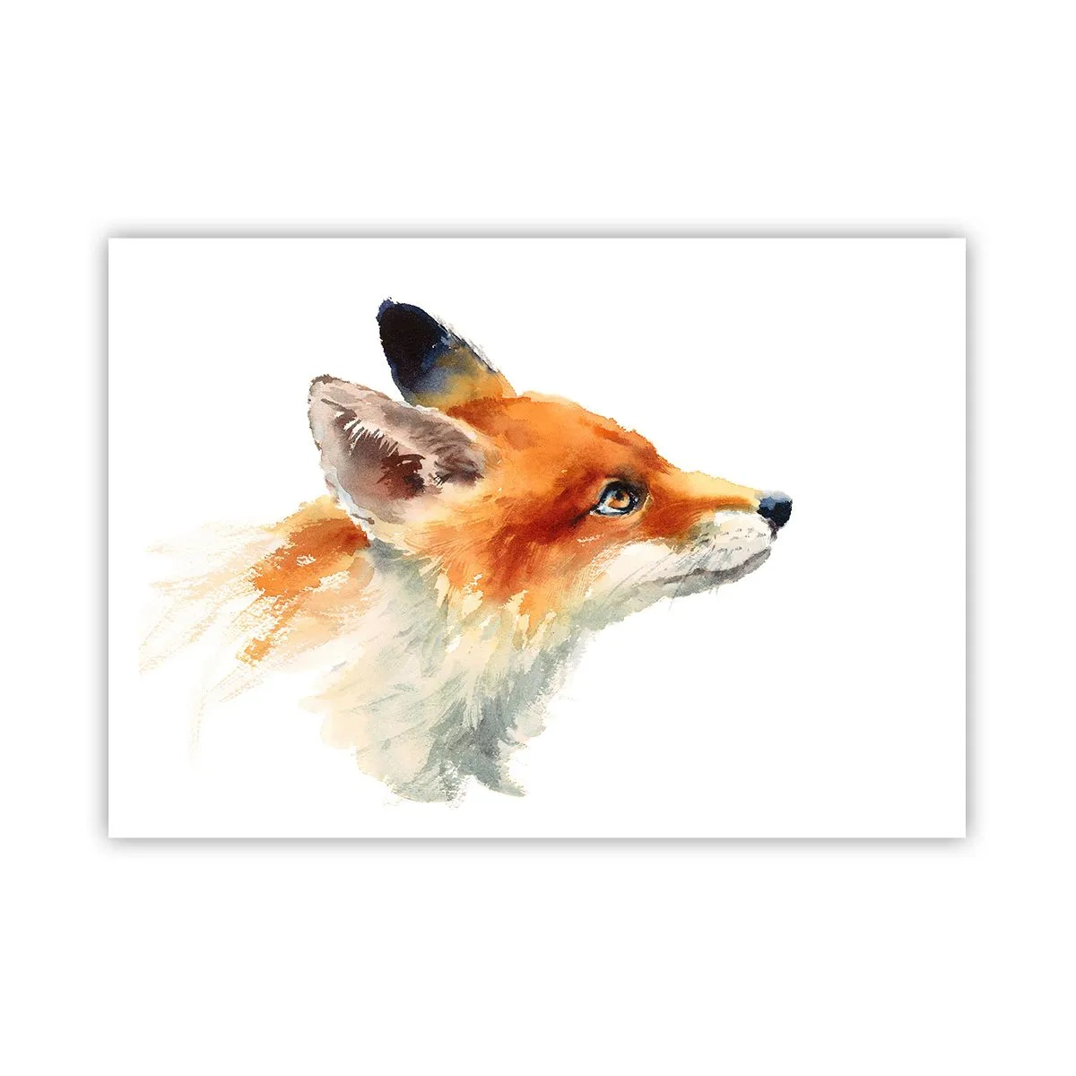 Poster - Je kunt nooit voorzichtig genoeg zijn - 100x70 cm