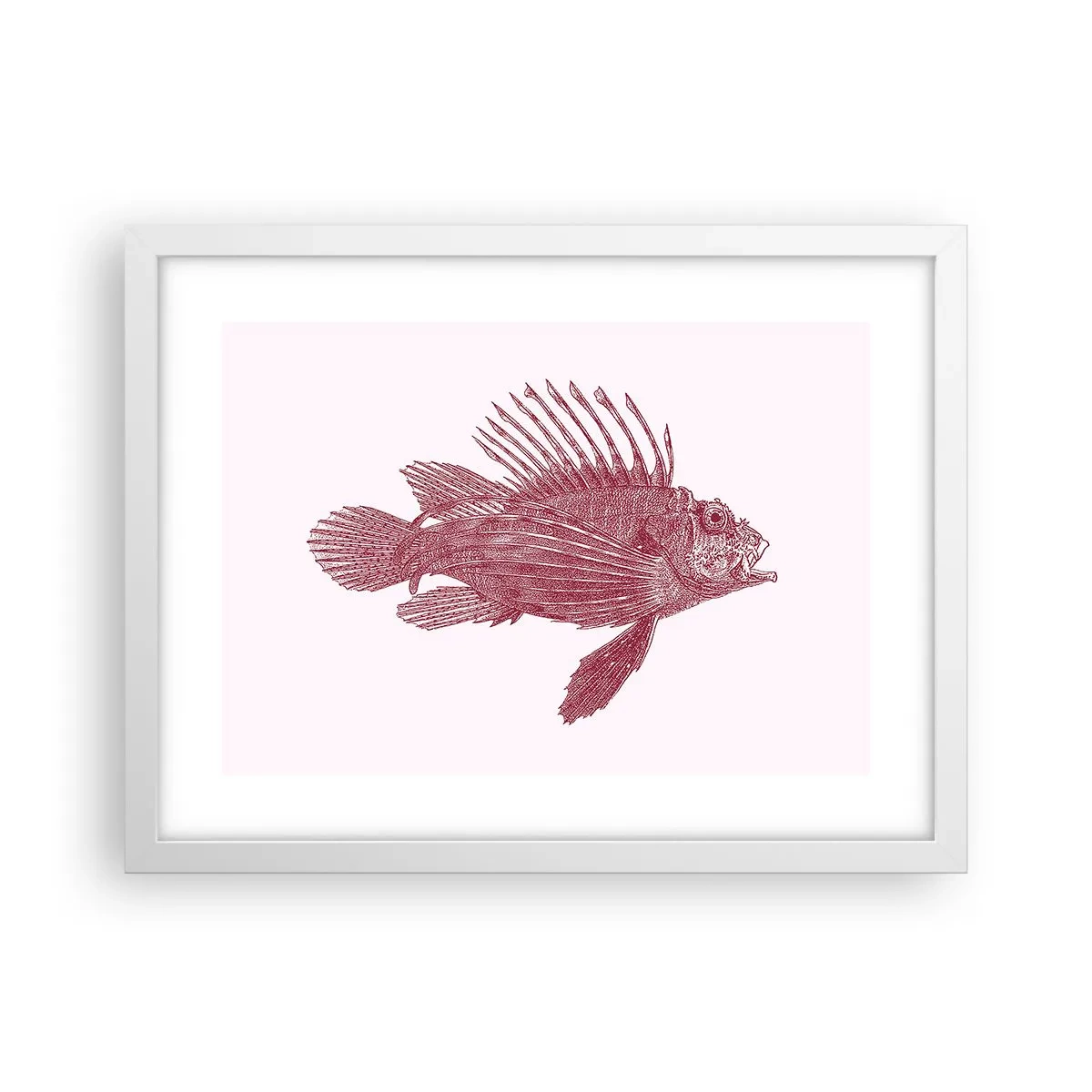 Poster in een witte lijst - Inwoner van exotische wateren - 40x30 cm