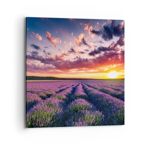 Schilderen op canvas - Lavendel wereld - 70x70 cm