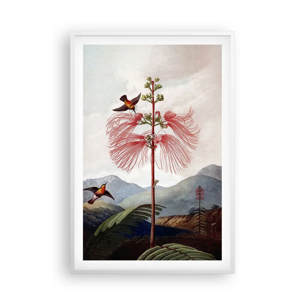 Poster in een witte lijst - In een tropisch paradijs - 61x91 cm