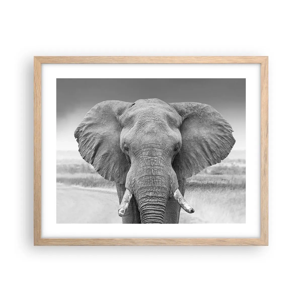 Een poster in een licht eiken lijst - Welkom in mijn wereld - 50x40 cm