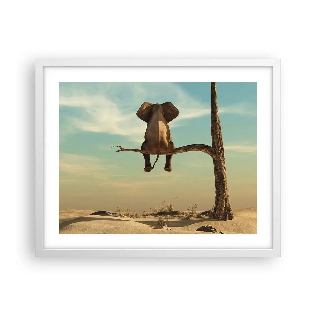 Poster in een witte lijst - Een nieuw gezichtspunt - 50x40 cm