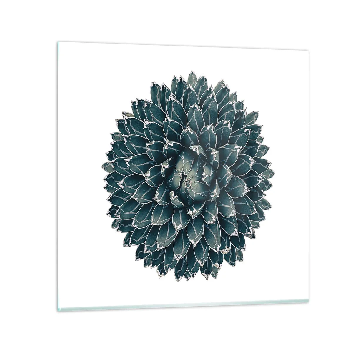 Schilderen op glas - De ster van de woestijn - 60x60 cm