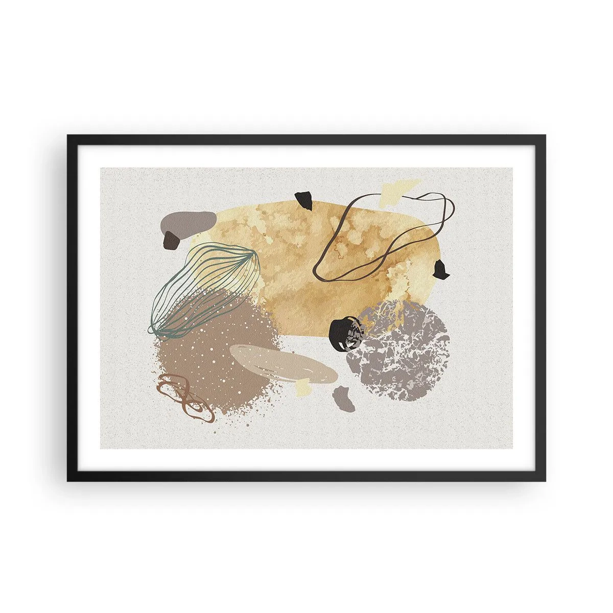 Poster in een zwarte lijst - Toegepaste plumcologie - 70x50 cm