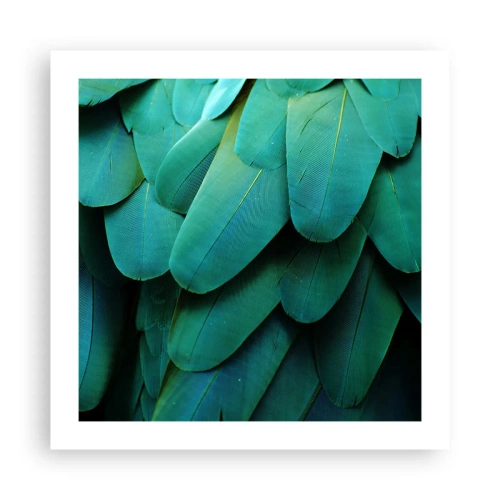Poster - Papegaaiachtige precisie - 50x50 cm