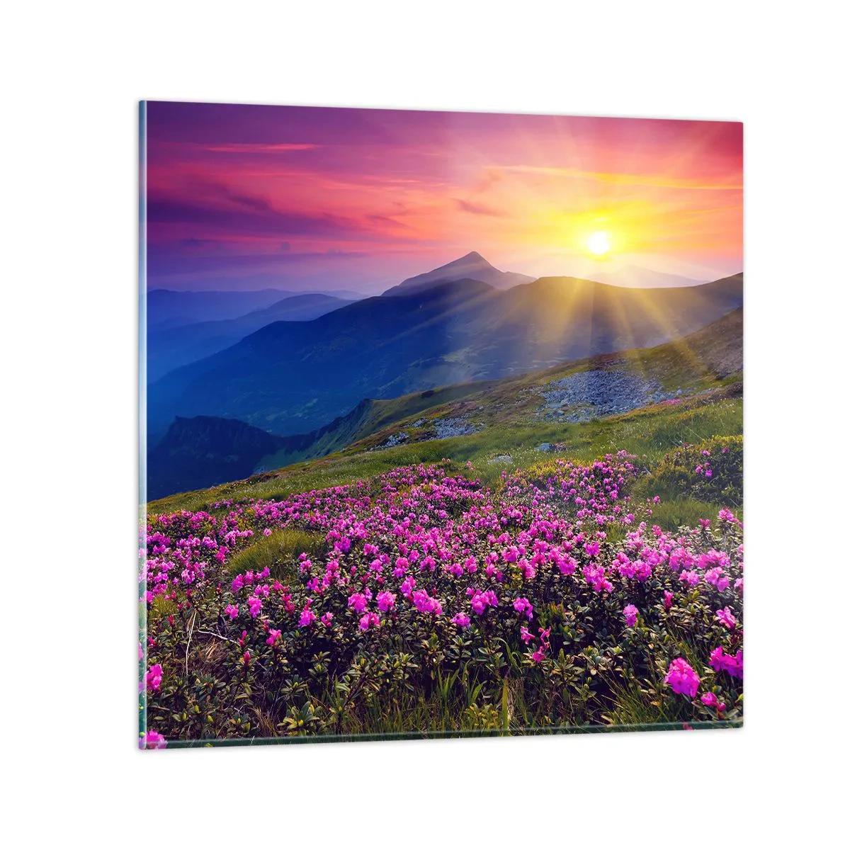 Schilderen op glas - … En eromheen ruikt het naar bergdennen en de geur van kruiden - 70x70 cm