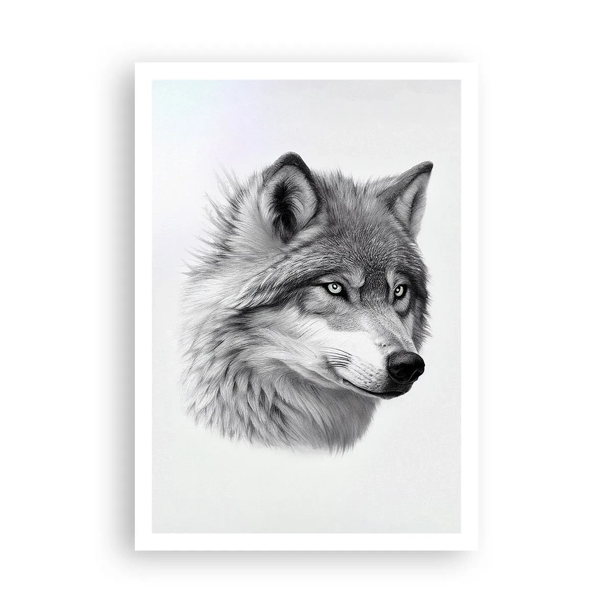 Poster - Alfa – zonder twijfel - 70x100 cm