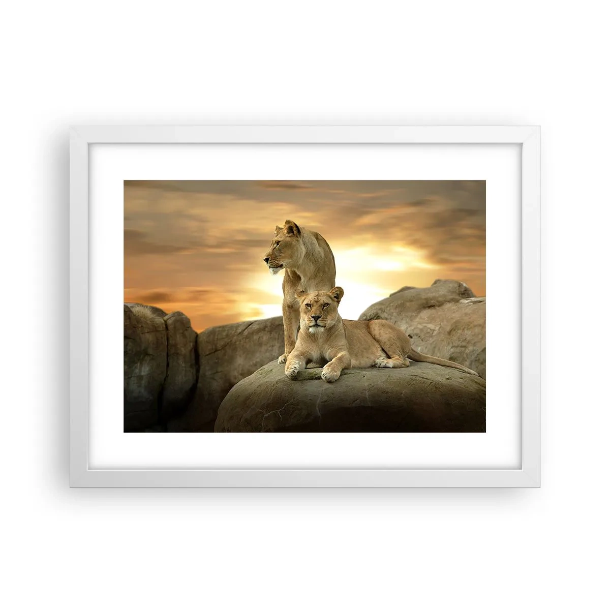 Poster in een witte lijst - Koninklijke majesteit - 40x30 cm