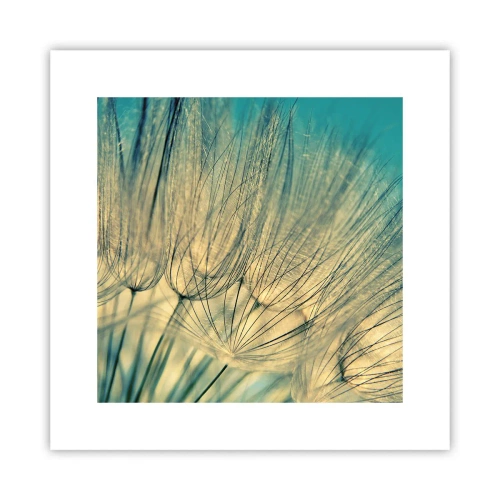 Poster - In afwachting van de wind - 30x30 cm