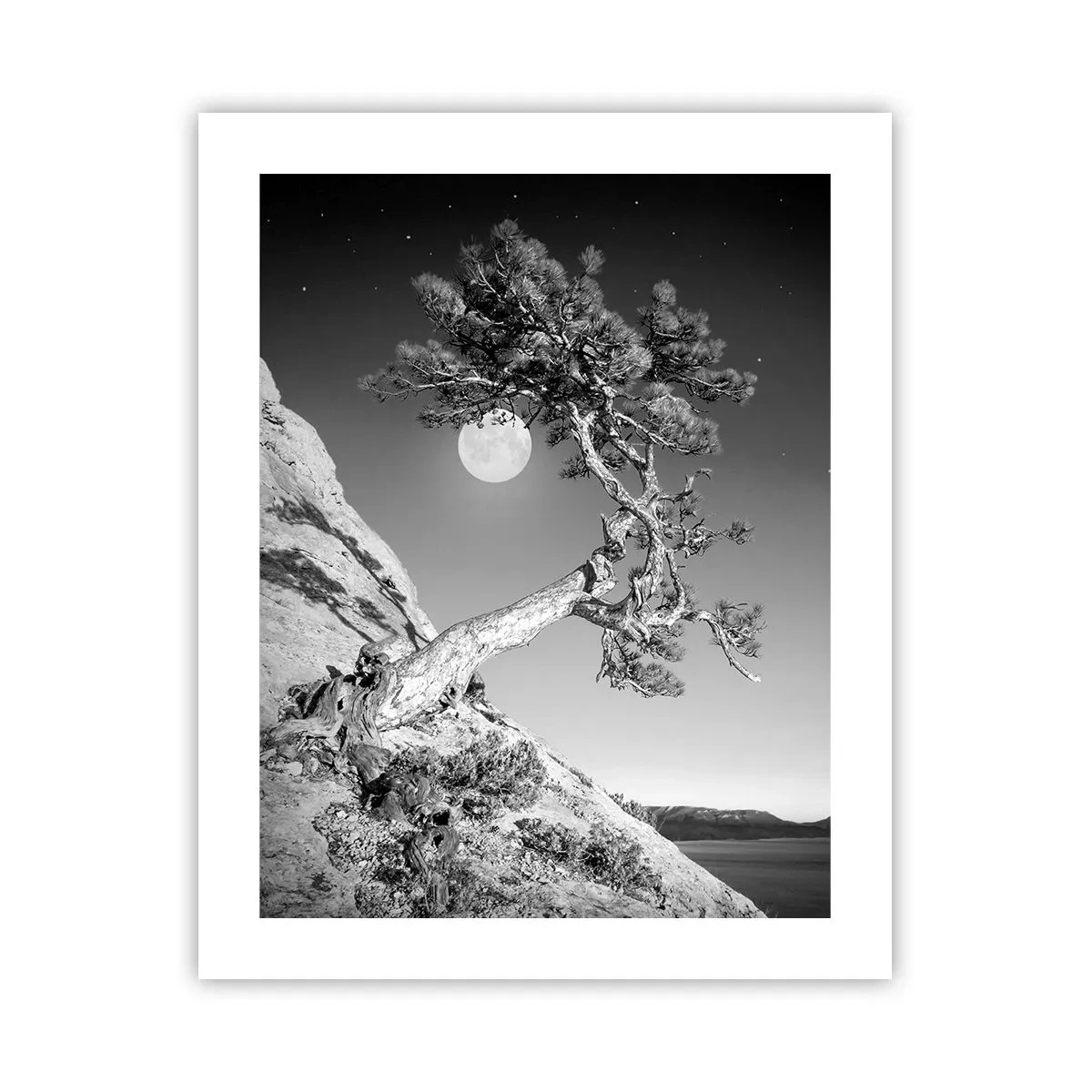 Poster - Een zegevierende jager - 40x50 cm