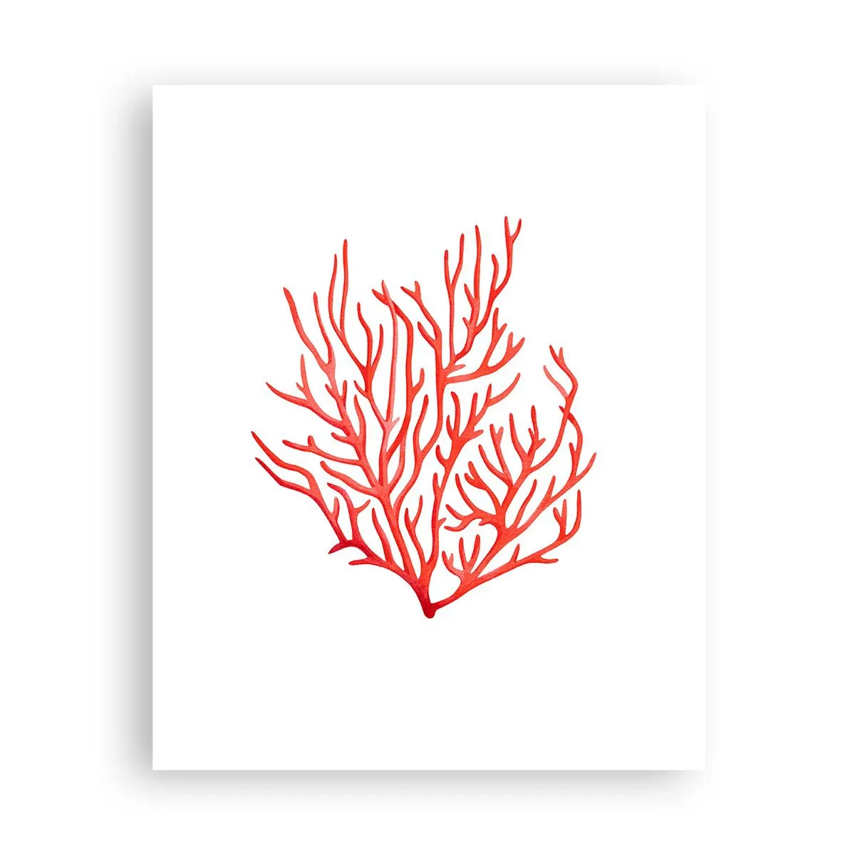 Poster - Koraal filigraan - 40x50 cm