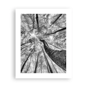 Poster - Race naar het licht - 40x50 cm