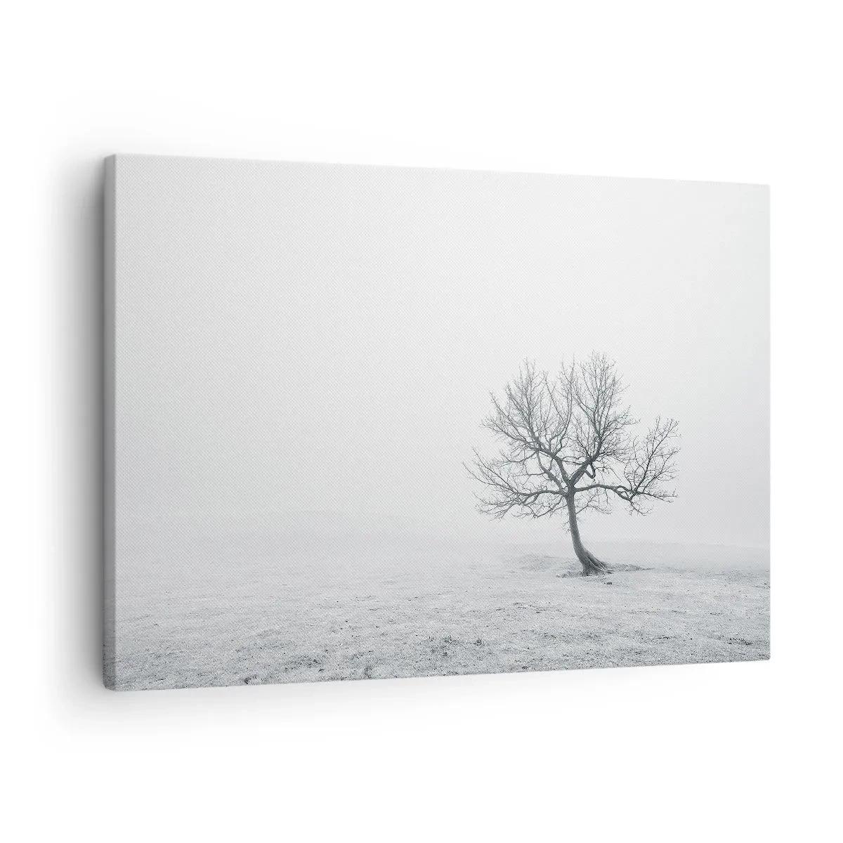 Schilderen op canvas - Een eenzame boom in de wintermist in een leeg veld - 70x50cm - Tegen het niets - Moderne wanddecoratie voor woonkamer en slaapkamer ARTTOR