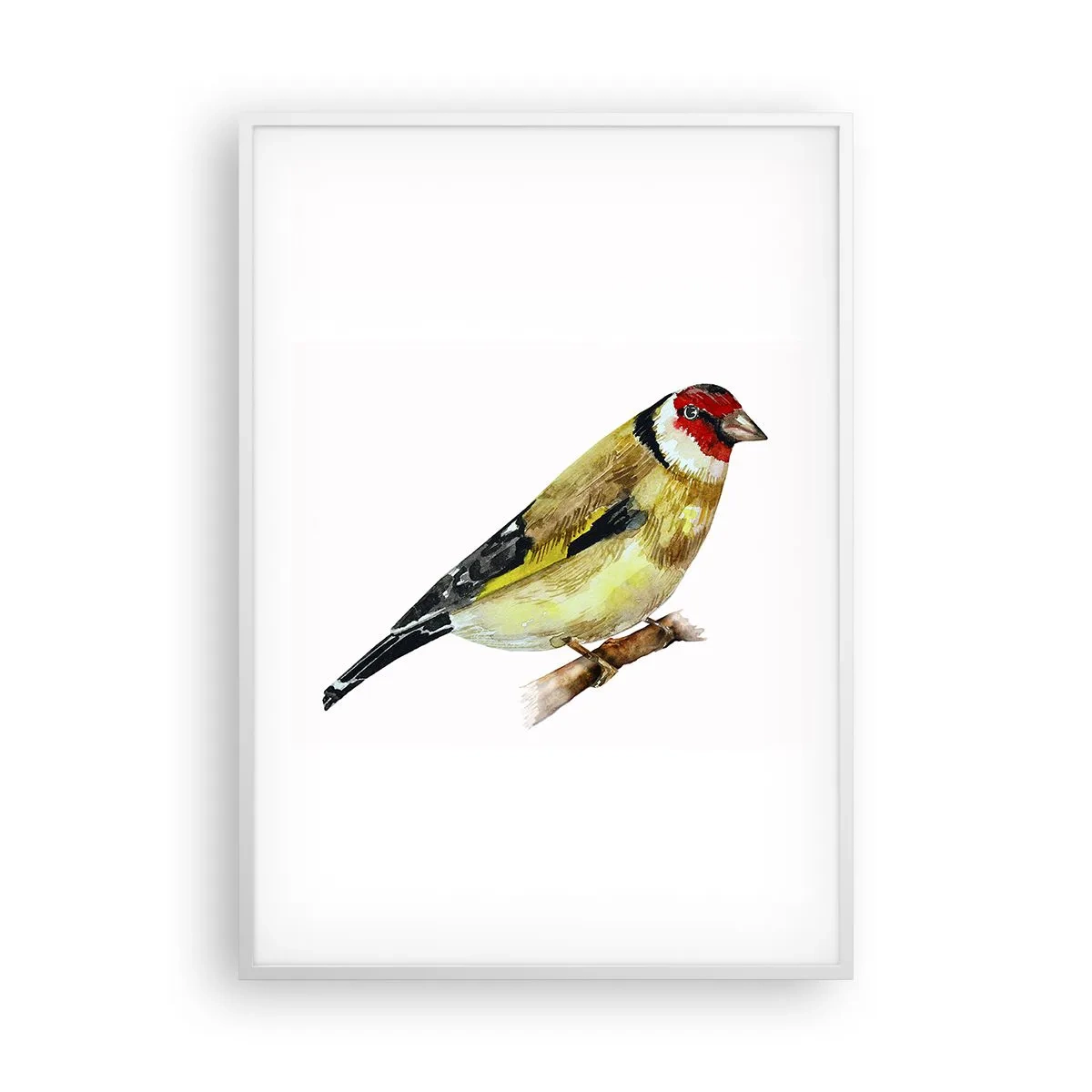 Poster in een witte lijst - Vogel portret - 70x100 cm