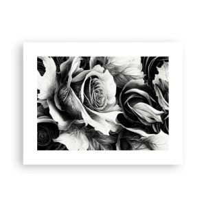 Poster - Altijd een koningin - 40x30 cm