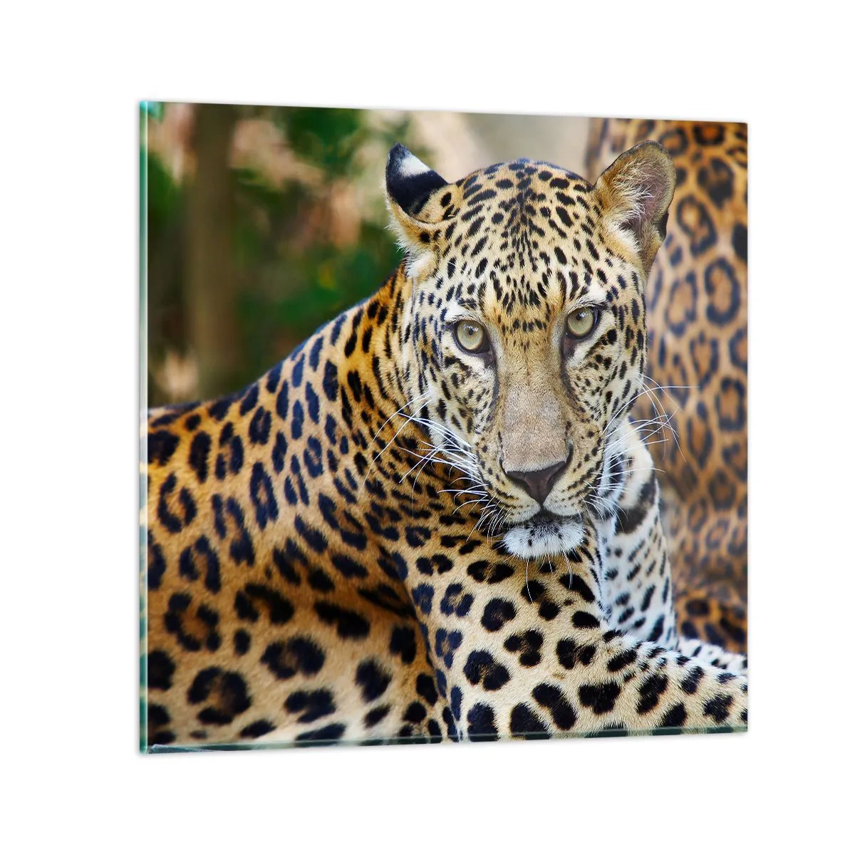 Schilderen op glas - Wild en kalm - 60x60 cm