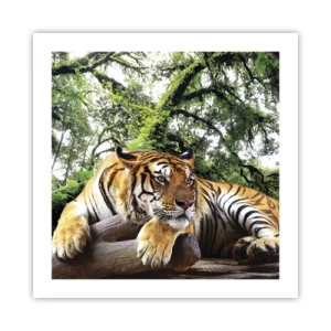 Poster - Met vriendelijke groet - 50x50 cm