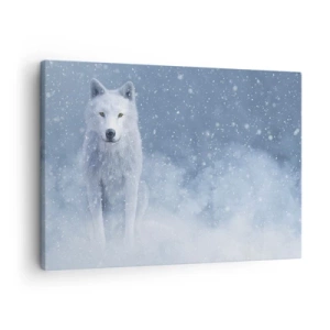 Schilderen op canvas - Witte wolf in een besneeuwd landschap - 70x50cm - In winterse sferen - Moderne wanddecoratie voor woonkamer en slaapkamer ARTTOR
