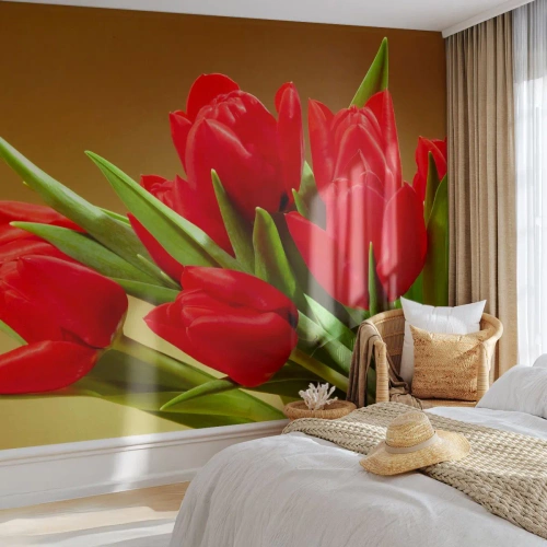 Fotobehang Standard Eco - Een bos van lentevreugde - Bloemen, Tulpen, Boeket bloemen - 300x210 cm