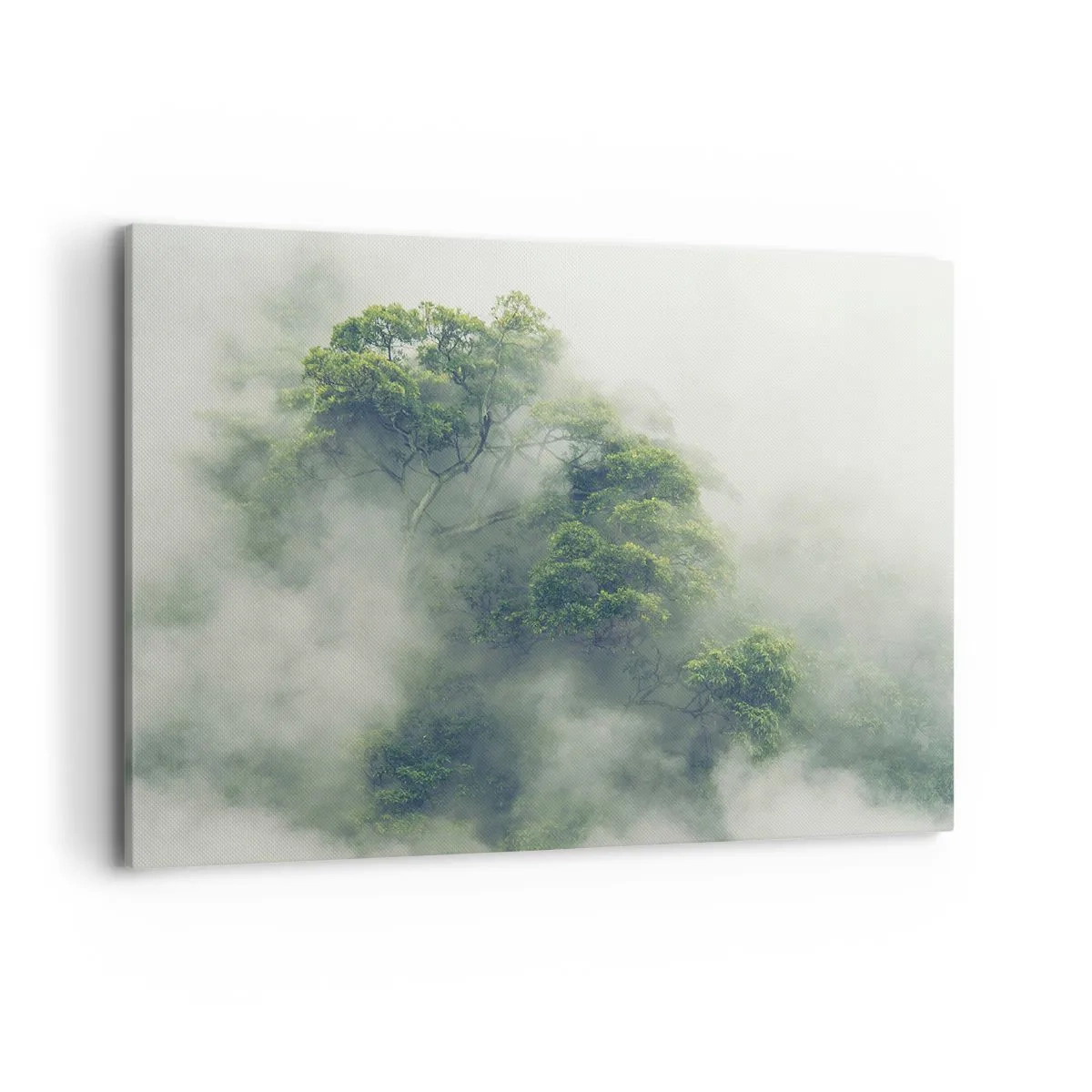 Schilderen op canvas - In mist gehuld - 100x70 cm