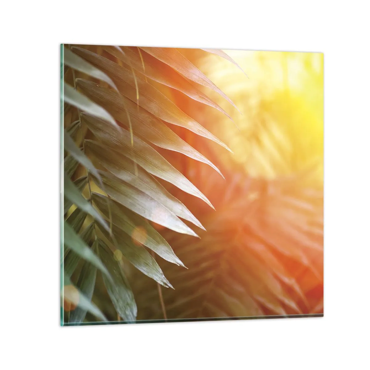 Schilderen op glas - Ochtend in de jungle - 30x30 cm