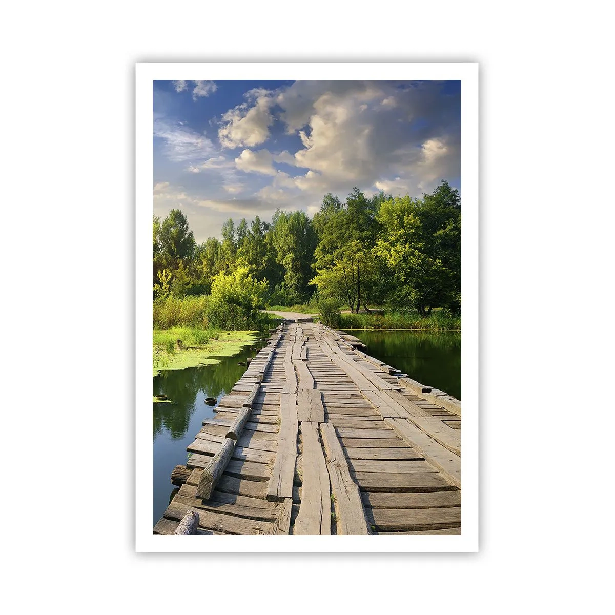 Poster - Zomer, zomer overal - 70x100 cm