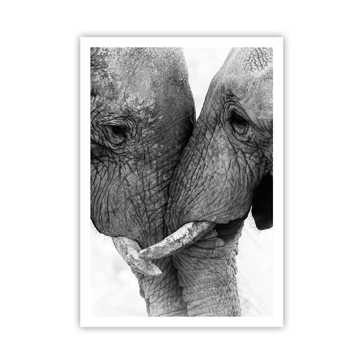 Poster - Oprechte bekentenis - 70x100 cm