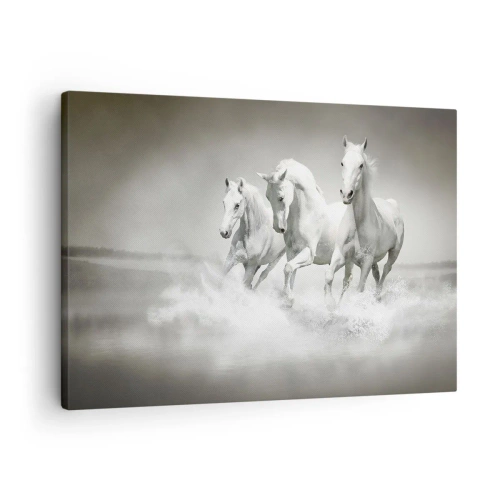 Schilderen op canvas - Drie witte paarden galopperen door het water - 70x50cm - Witte waanzin - Moderne wanddecoratie voor woonkamer en slaapkamer ARTTOR