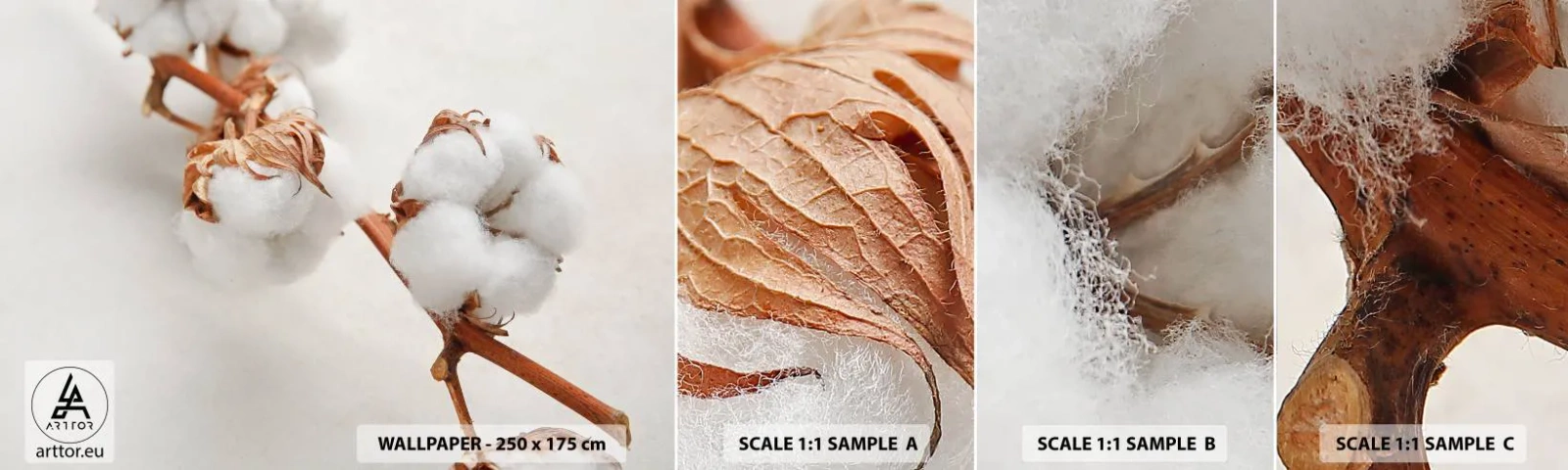 Fotobehang Staaltje Standard Eco - Gewoon een knuffel - Katoenen bloem, Bloem, Katoen takje - 100x30 cm