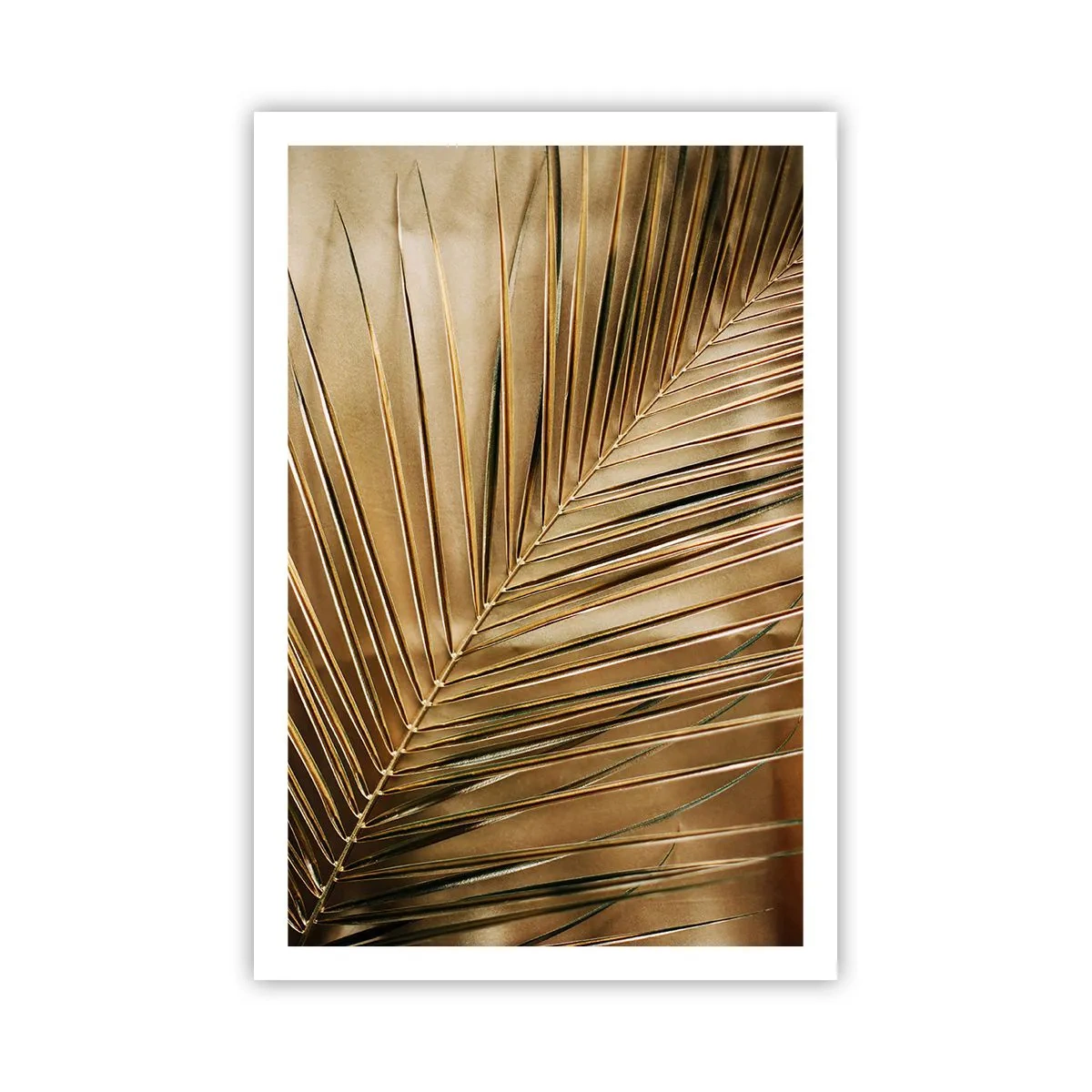 Poster - Natuurlijke zuilengalerij - 61x91 cm