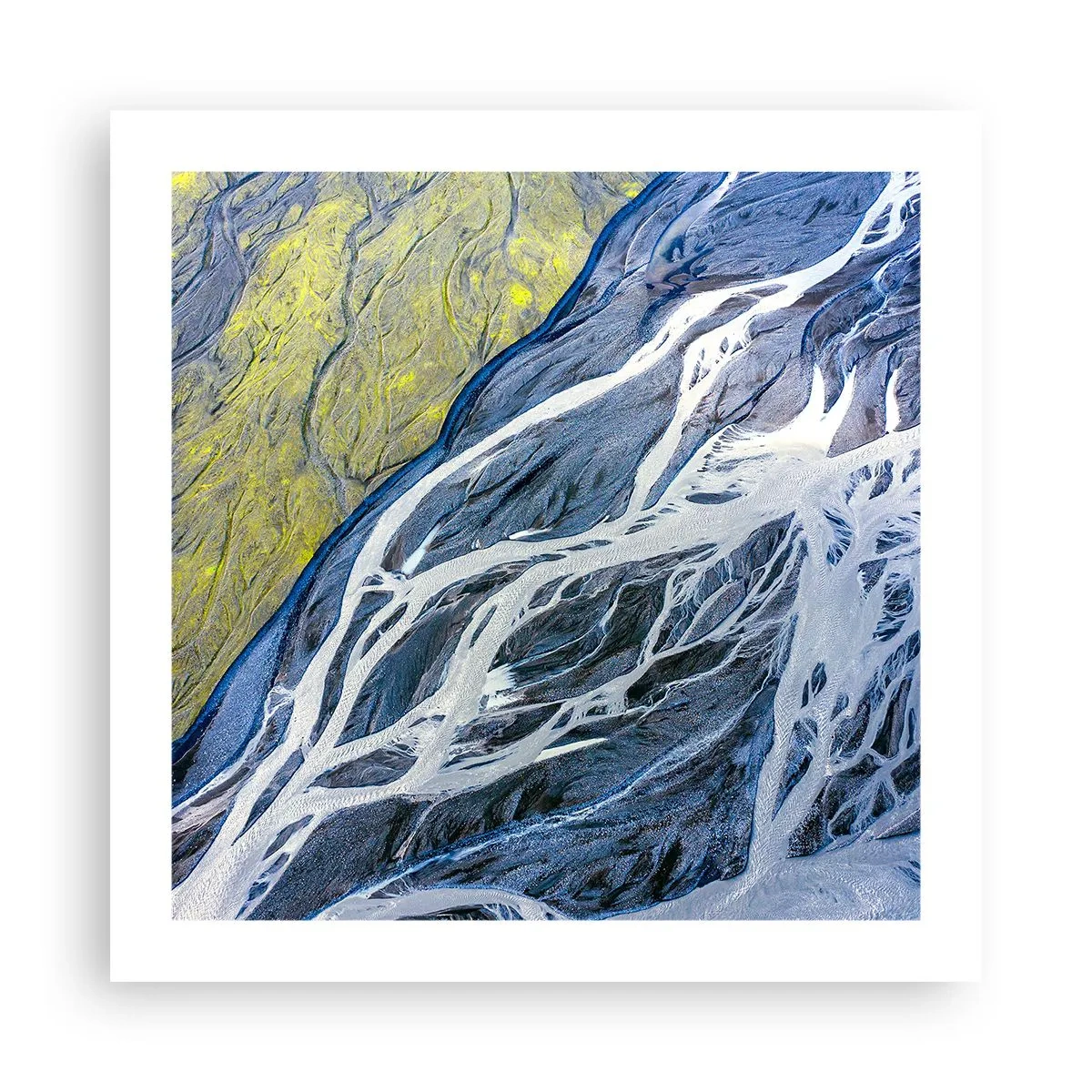 Poster - Rotstekeningen van de natuur - 50x50 cm