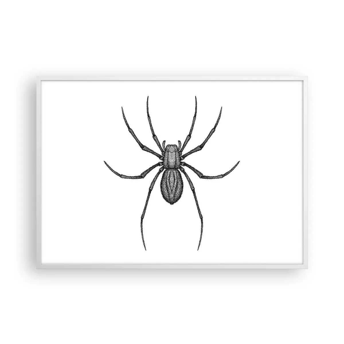 Poster in een witte lijst - Verontrustende precisie - 100x70 cm