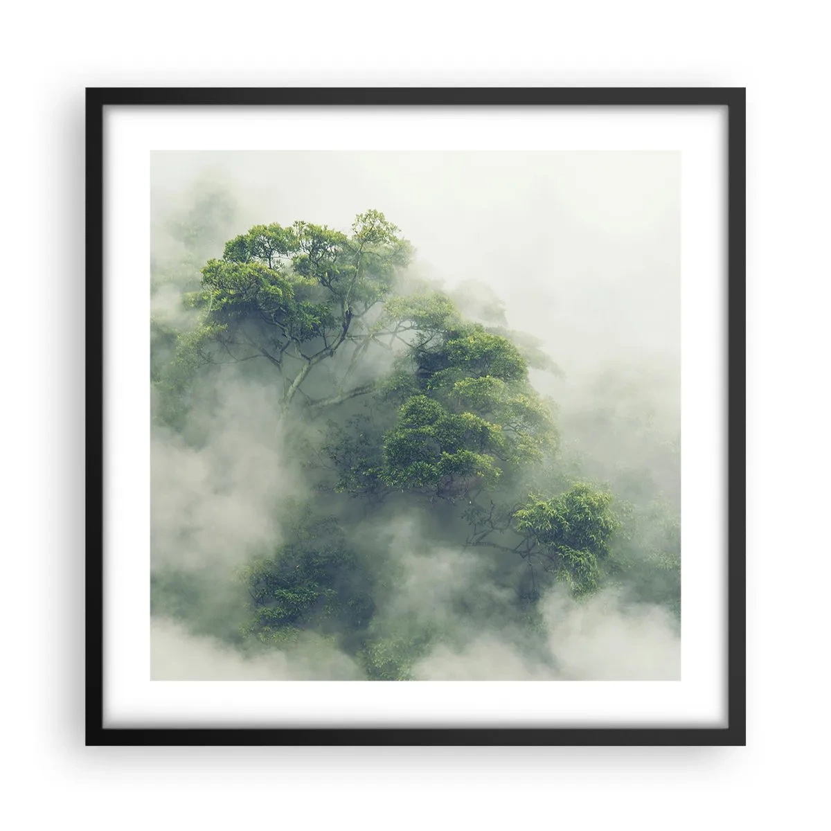 Poster in een zwarte lijst - In mist gehuld - 50x50 cm