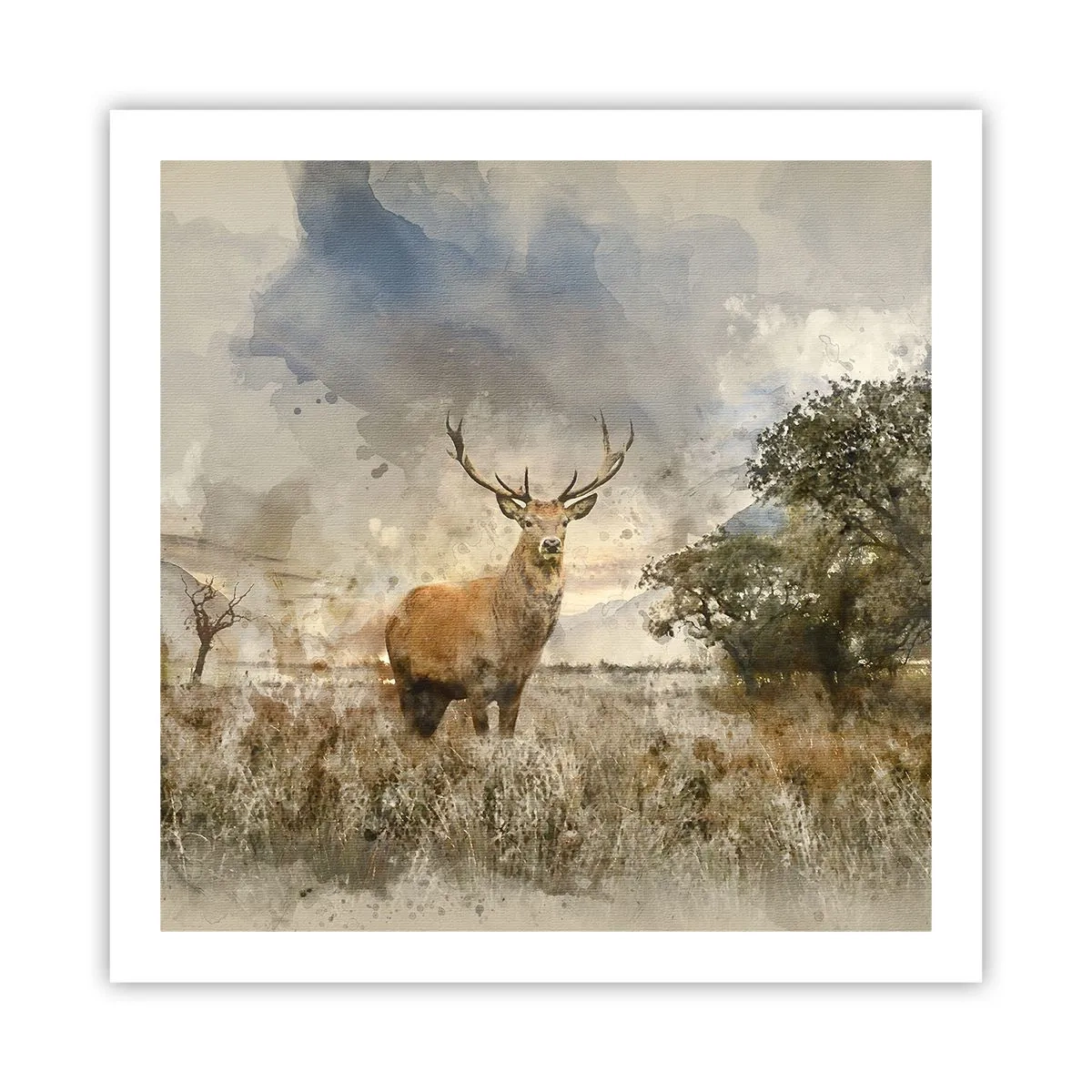 Poster - Waardigheid - kracht - waardigheid - 60x60 cm