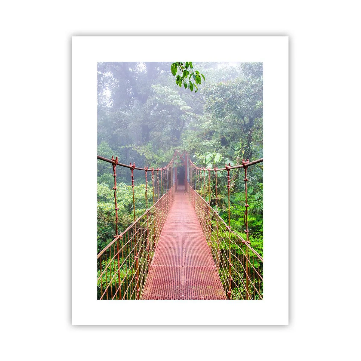 Poster - Opgehangen over de kronen - 30x40 cm