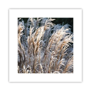 Poster - Gekleed met vorst - 30x30 cm