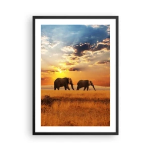 Poster in een zwarte lijst - Olifanten lopen in de gloed van de ondergaande zon - 50x70cm - Familie wandeling - Moderne wanddecoratie voor woonkamer en slaapkamer ARTTOR
