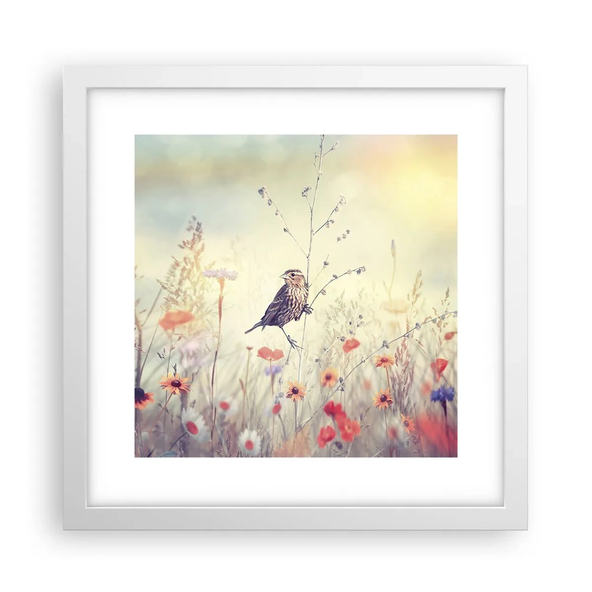 Poster in een witte lijst - Vogelportret met een weiland op de achtergrond - 30x30 cm