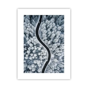 Poster - Door het winterbos - 30x40 cm