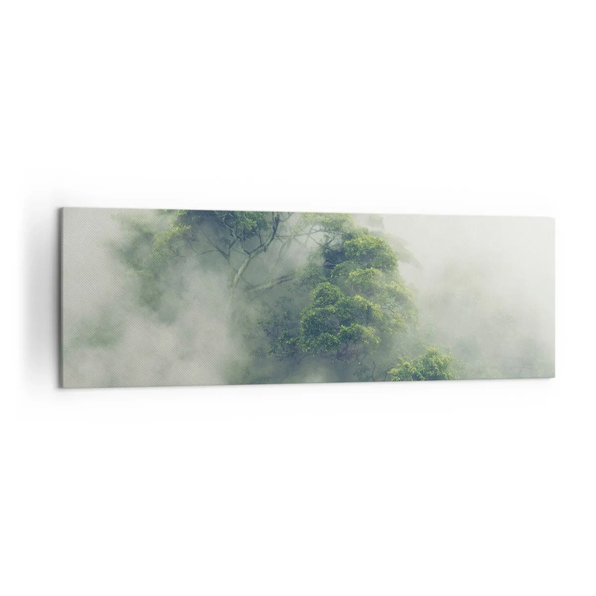 Schilderen op canvas - In mist gehuld - 160x50 cm
