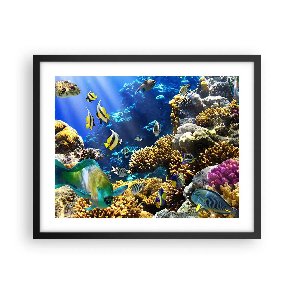 Poster in een zwarte lijst - Veel verkeer op de vakantieroute - 50x40 cm