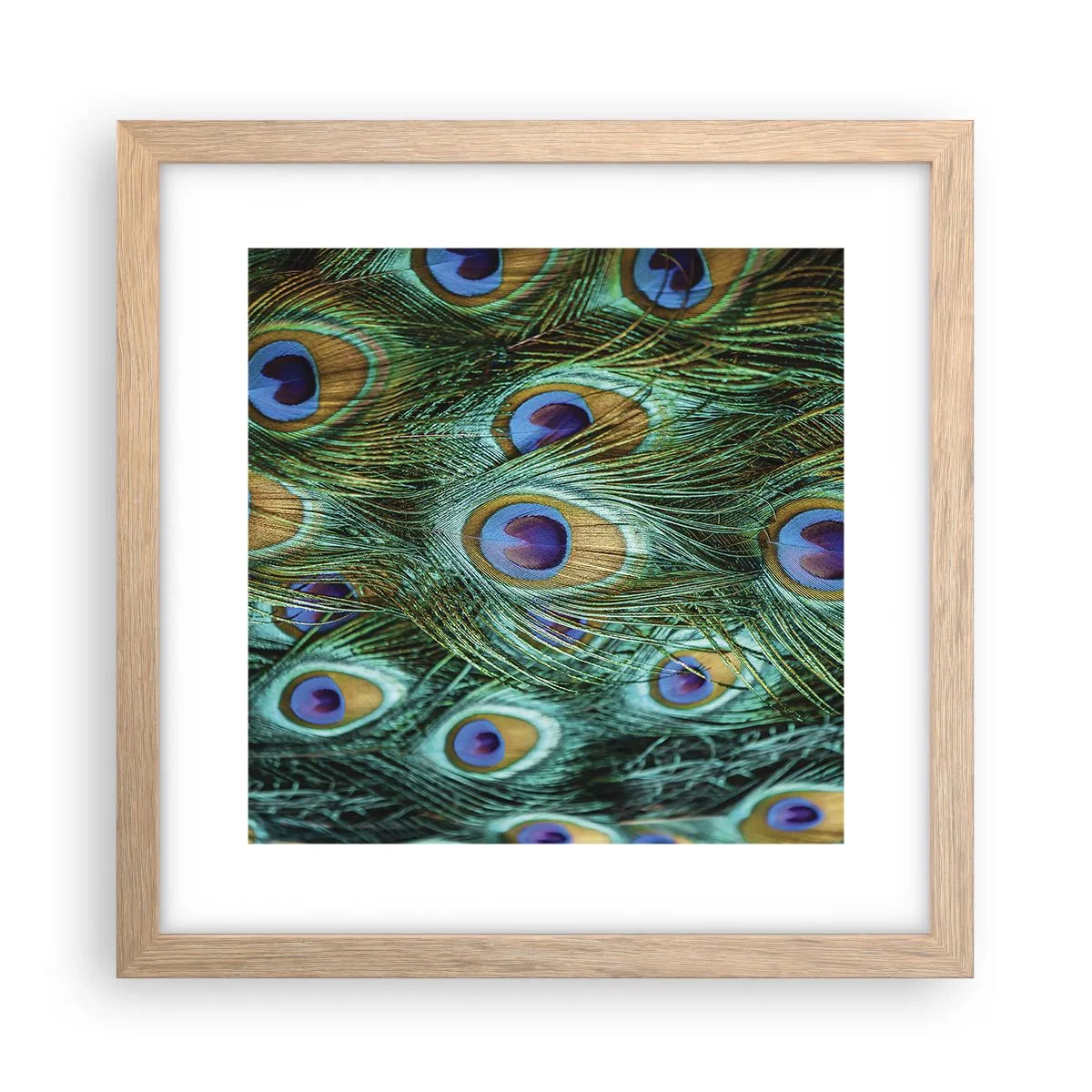 Een poster in een licht eiken lijst - Een pauwenooglook - 30x30 cm