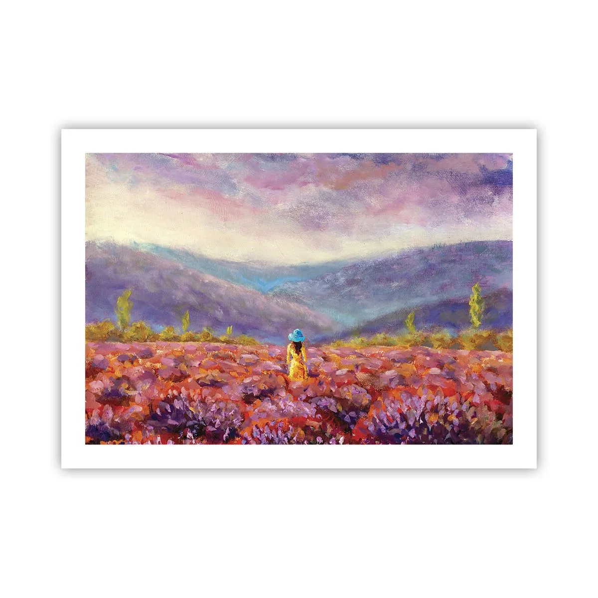 Poster - In een lavendelwereld - 70x50 cm