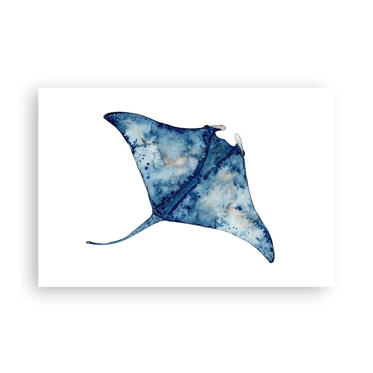 Poster - Leven in blauw - 91x61 cm