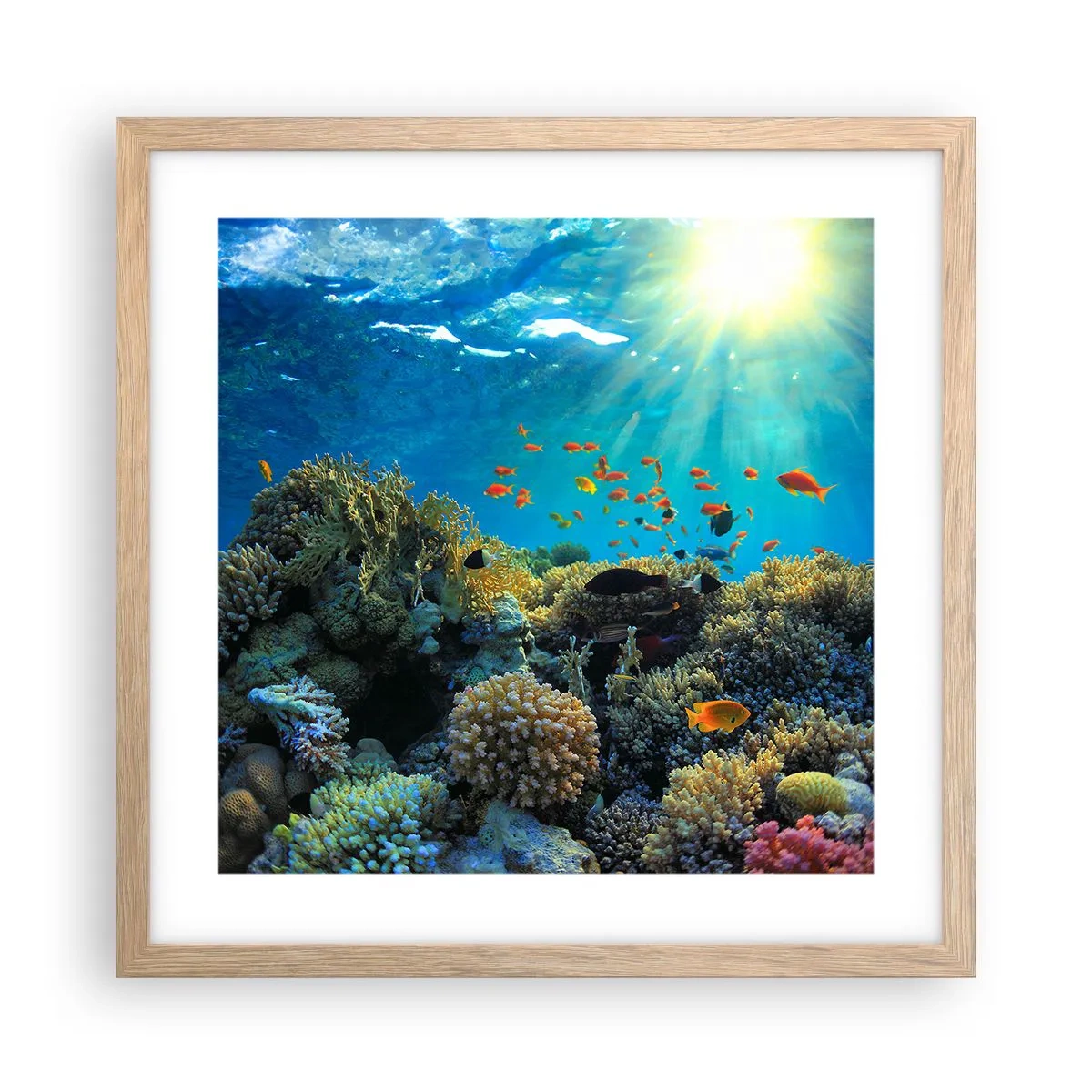 Een poster in een licht eiken lijst - Onderwater schatten - 40x40 cm