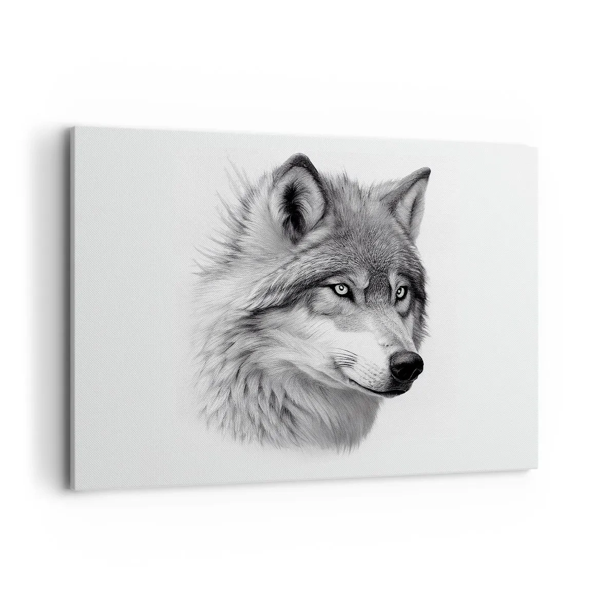 Schilderen op canvas - Alfa – zonder twijfel - 100x70 cm