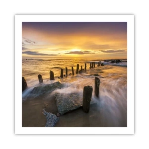 Poster - De rauwe schoonheid van de Oostzee - 60x60 cm