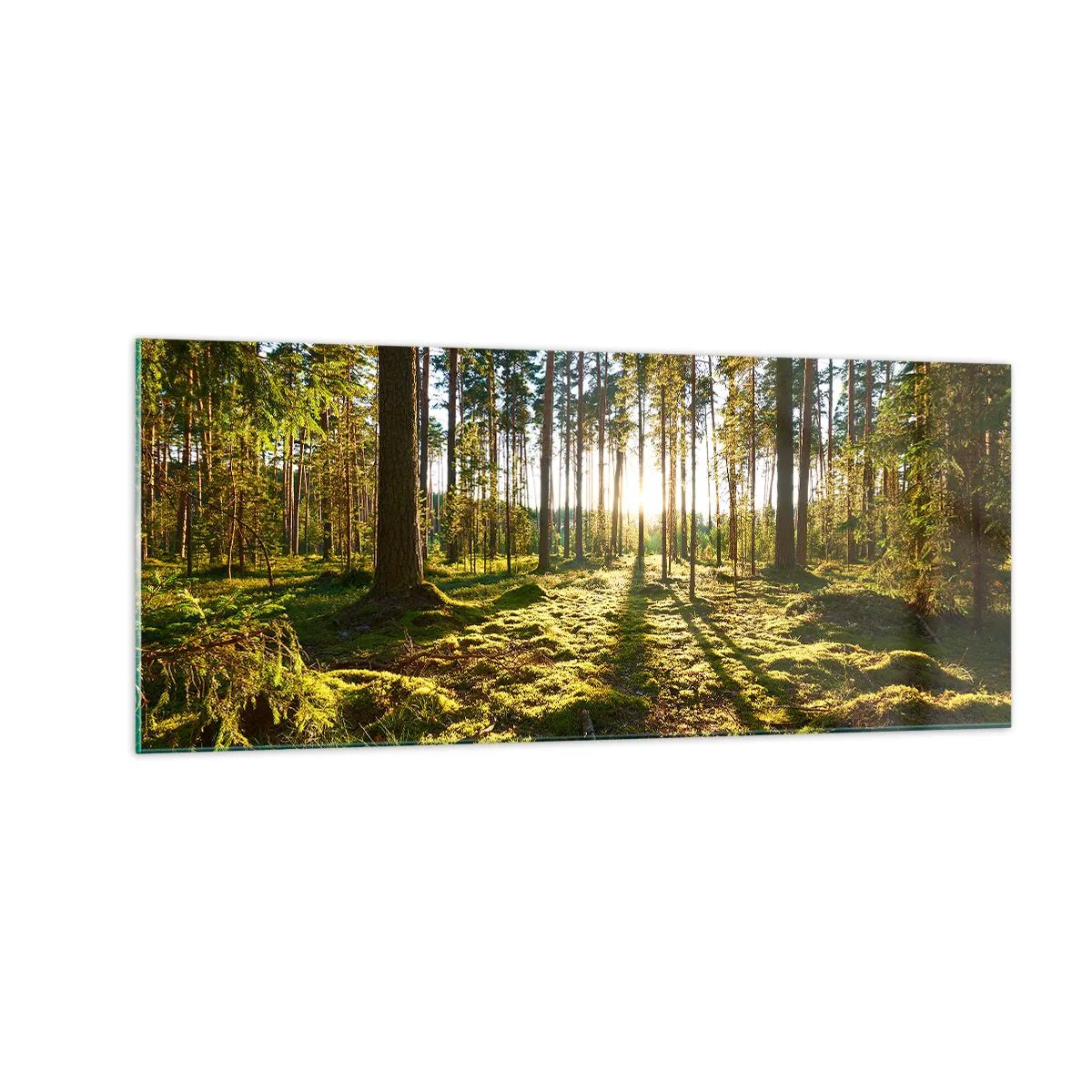 Schilderen op glas - … Achter de zeven bossen - 100x40 cm