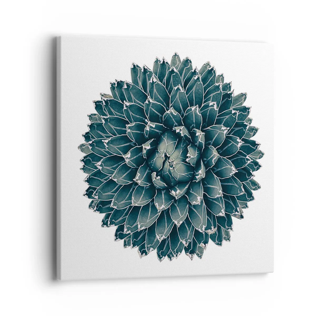 Schilderen op canvas - De ster van de woestijn - 40x40 cm