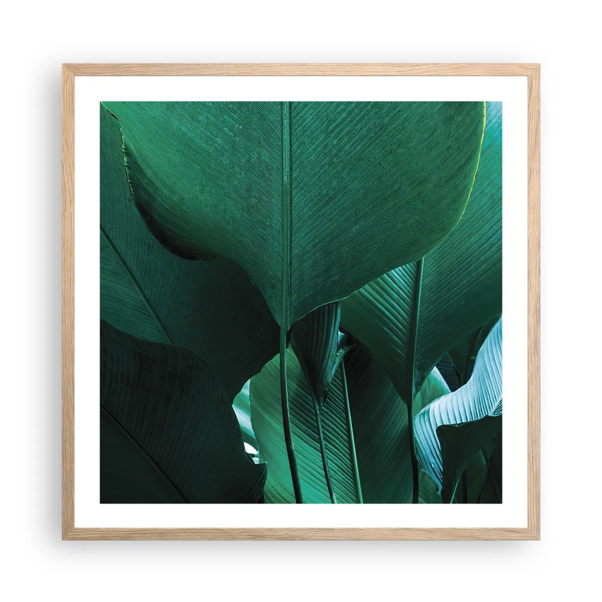 Een poster in een licht eiken lijst - Naar het licht gekeerd - 60x60 cm